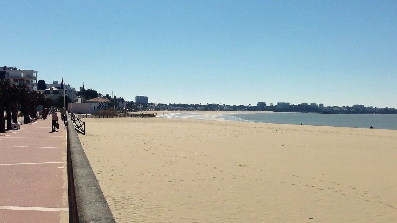 081 ROYAN 2015