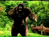 SUMMER KAPAMILYA BLOCKBUSTERS: Mighty Joe Young