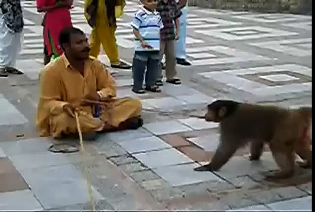 Pakistani Funny Clips?syndication=228326