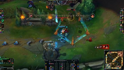 Challenger's Trolling Moment - League of Legends