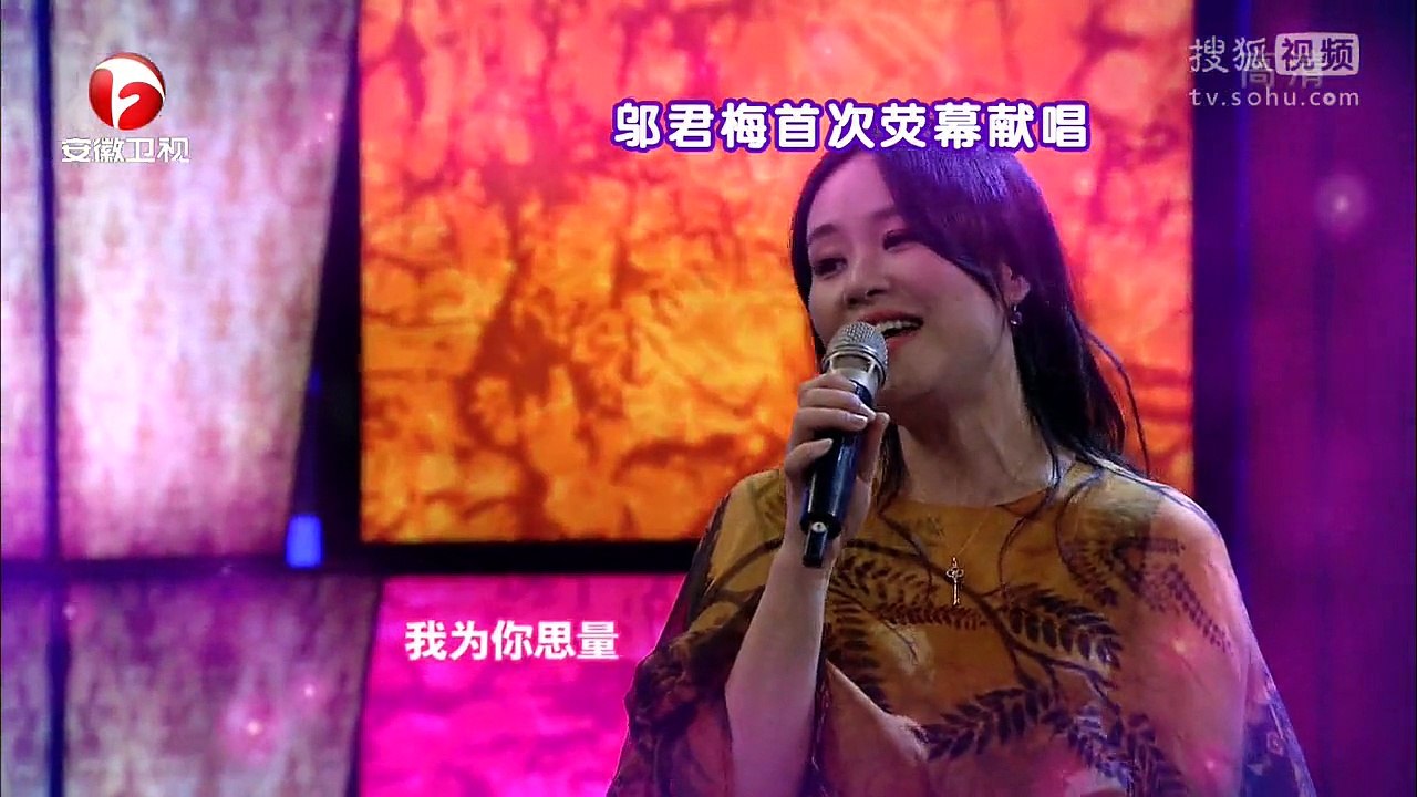20150503 非常静距离 风韵依旧 邬君梅