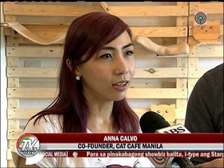 Mga pet cafe, patok sa pet lovers