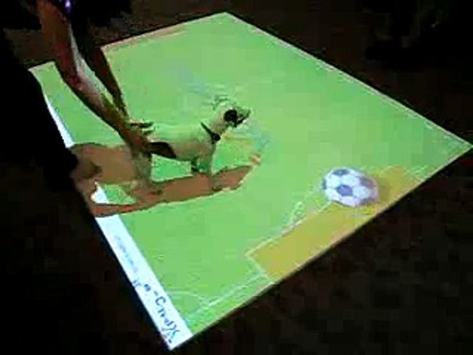 dog playing foot bal amazingly