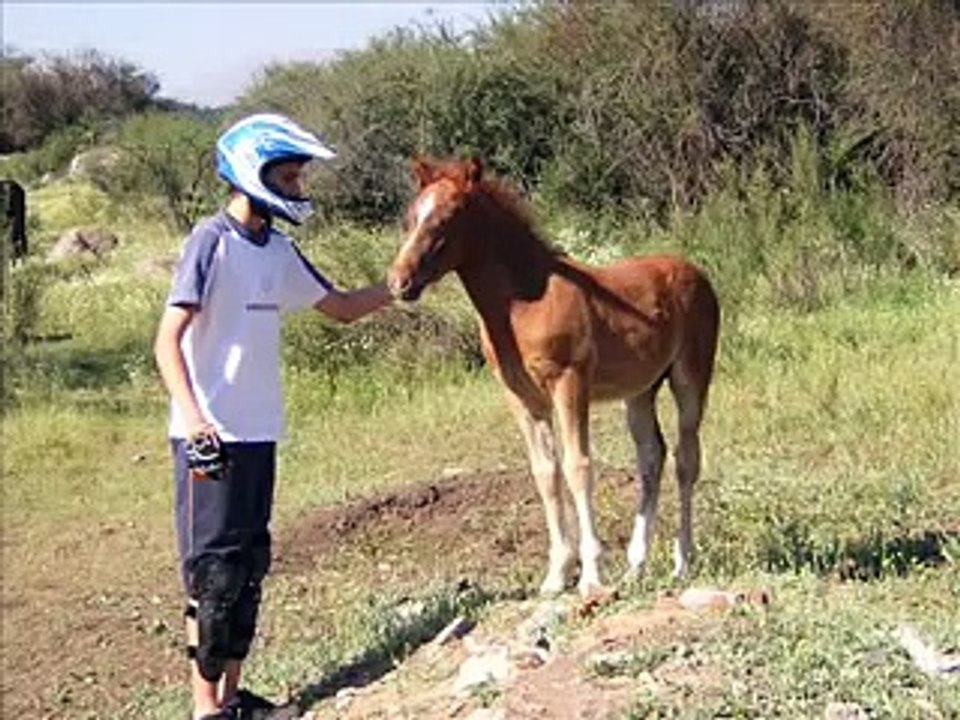 Caidas Horribles - Free Ride