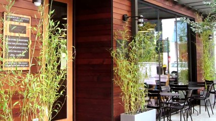 Starbucks - Store Development