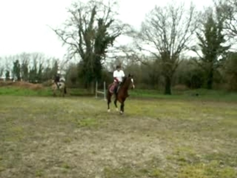 saut