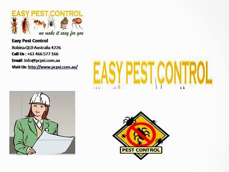Long Lasting and Affordable Pest Control Gold Coast