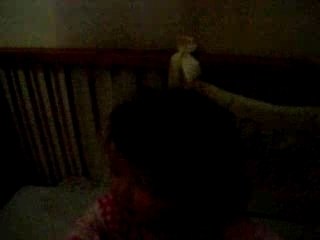 Clementine se réveille de la sieste