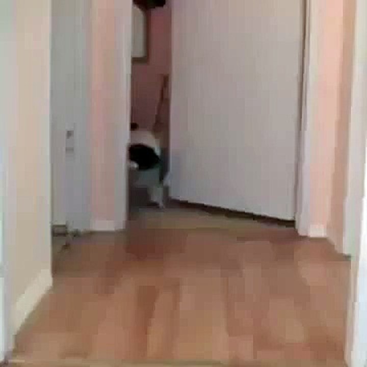 Laughs For Gags Can Someone Explain This