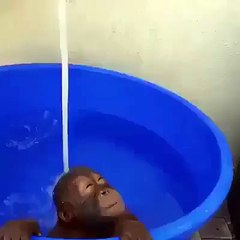 Asi me paro en la ducha despues de un dia largo de trabajo!