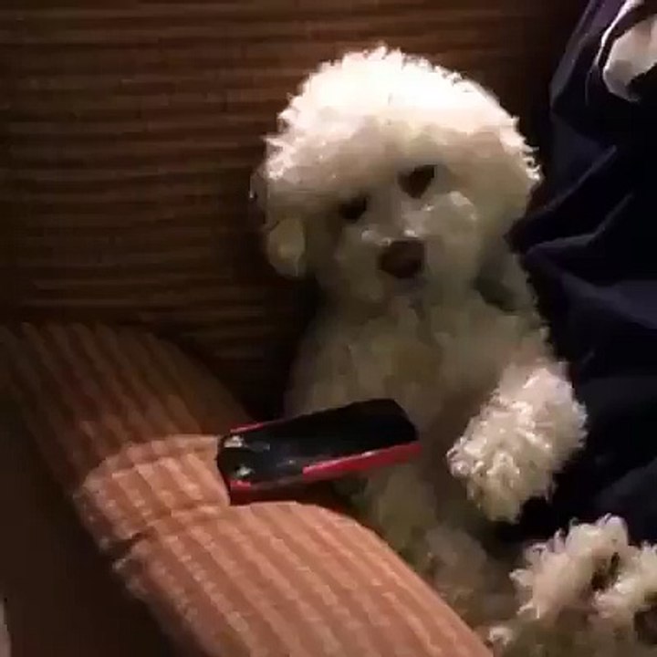 Cuando alguien te quiere agarrar el celular!