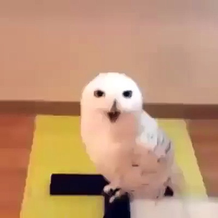 Cuando tu amigo que te debe dinero te promete que te va a pagar