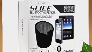 Hype Black Mini Bluetooth Slice Speaker