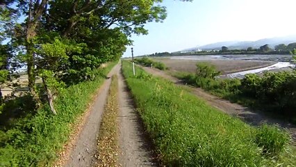 桑原から酒匂川に入った土手