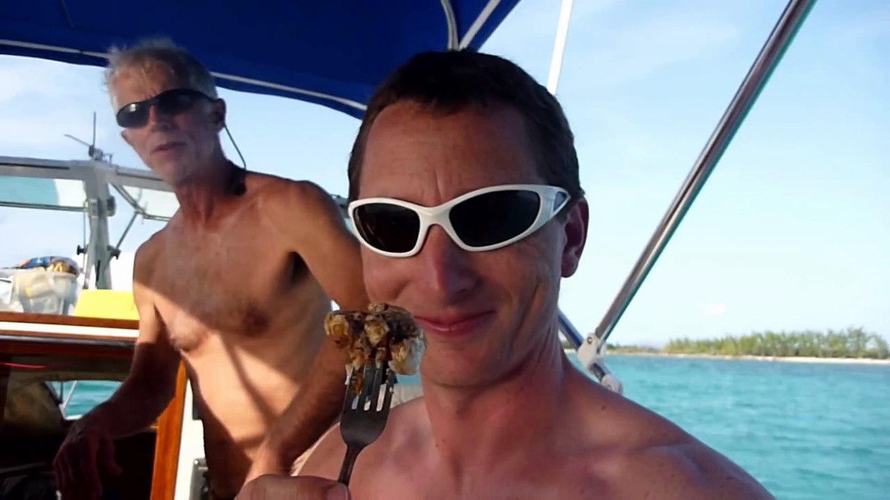 Pêche au harpon et nage avec les dauphins : vacances parfaites aux Bahamas