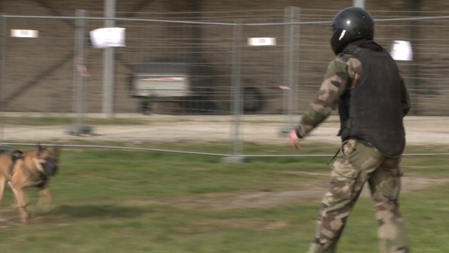 Les PMM Le Havre et Rouen à la découverte des fusiliers marins de Cherbourg