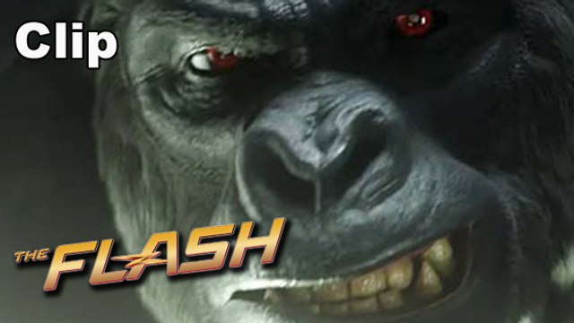 The Flash - Grodd (Clip) [Full HD] (DC Comics)