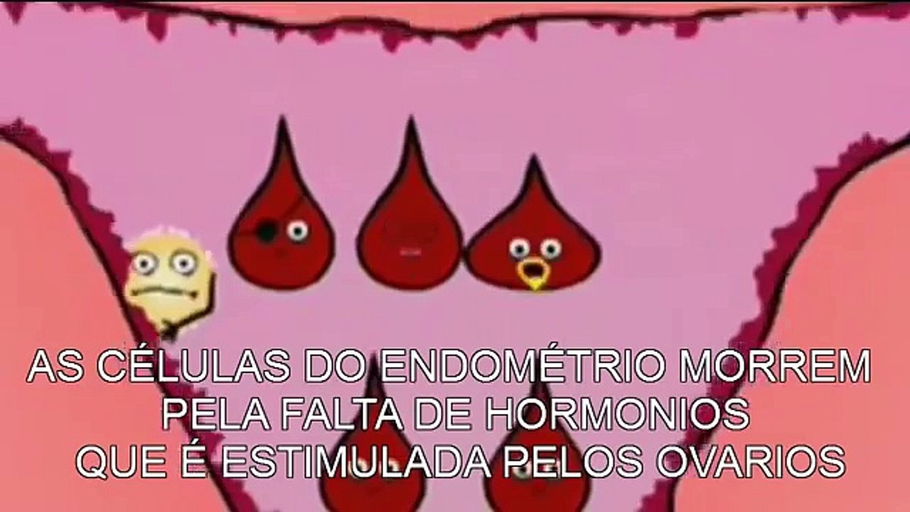 Ciclo Menstrual VERSIÓN ANIMADA