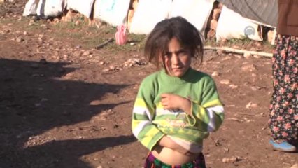 Çözüm Süreci Yaylaya Huzur Getirdi