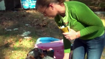 Dogs on the Inside - OFFICIAL TRAILER - Available February 10th on iTunes