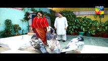 Assi ep 13 promo HUM TV