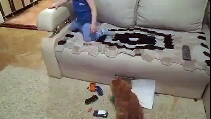 This cat knows how to teach kids to behave funny