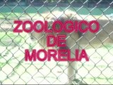 ZOOLOGICO DE MORELIA MICHOACAN MEXICO