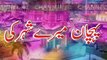 Faisalabad City Channel C41 TV Show Pehchan Meray Shahar Ke  Promo Hazara Hotel Pakistan