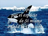 Canto de Las Ballenas