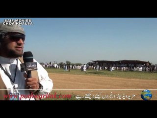 Grand Bull Race In Narali Jabair Teh Gujar Khan 3.5.2015