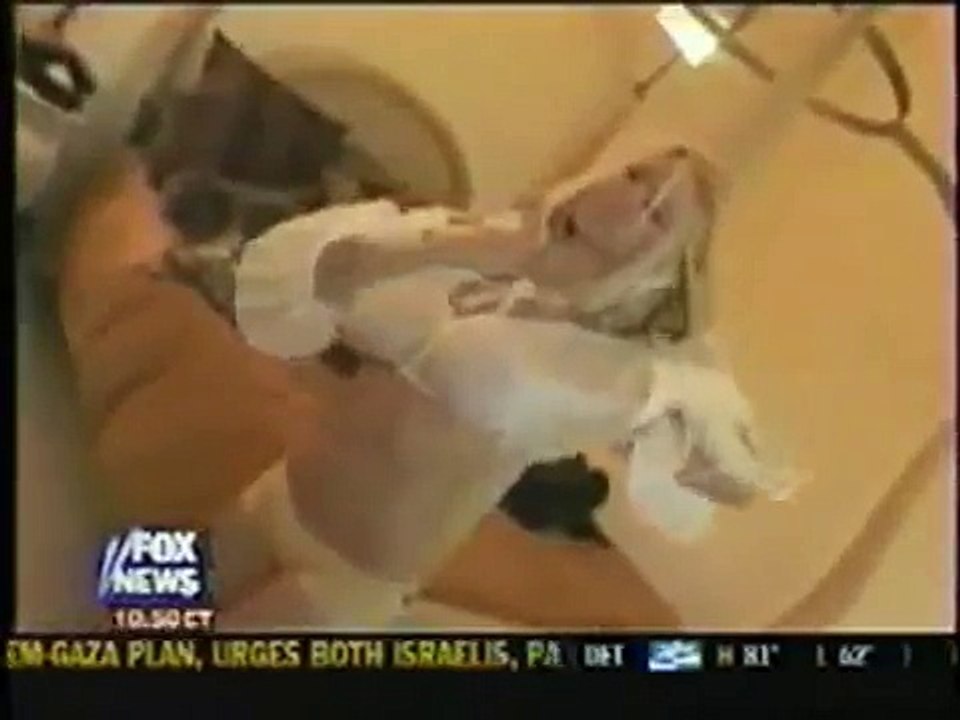 Jenna Jameson on O'Reilly Factor