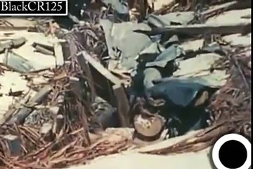 USMC Casualties after The Battle of Tarawa. WARNING: Contains Graphic Material!