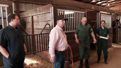 The Incredible Dr. Pol - Checking the Horses