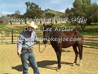Leading a horse safely, David Lee Archer