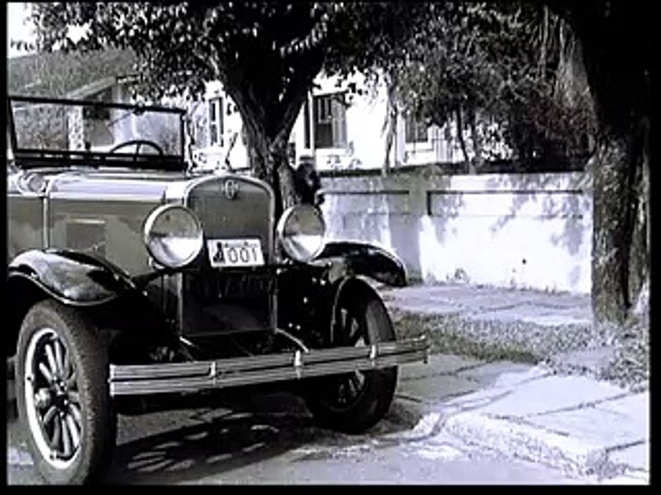 CINZAS DA HISTÓRIA