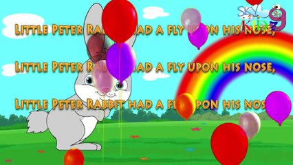 Little Peter Rabbit had a fly upon his nose  RHYMES  KIDZ