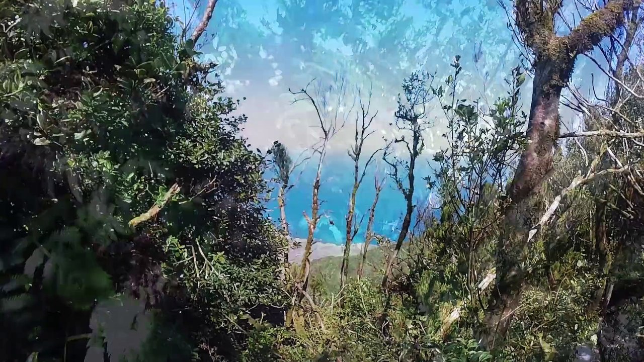 Tenerife Reel