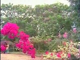 Malare Kurinji malare