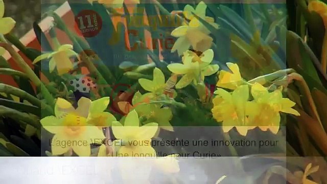 Excel pour Institut Curie - «Une jonquille pour Curie 2015» - mai 2015
