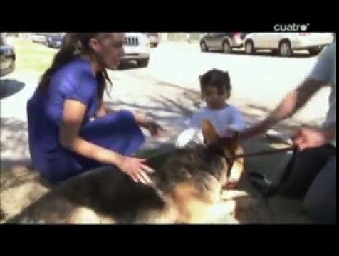 el encantador de perros -Perro Policia(4ªTemp)(2de3)