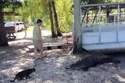 Pet Cat Saves Boy from Two Vicious GATORS -Cat vs Gator (original)