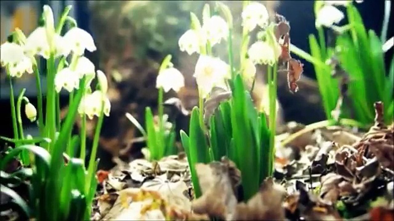 Naturaleza en movimiento 3