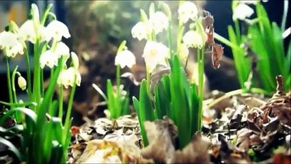 Naturaleza en movimiento 3