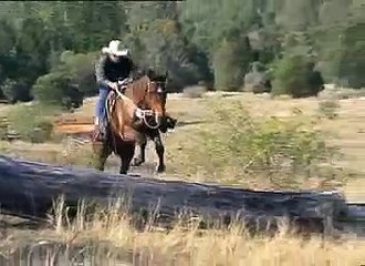Off the trail riding