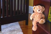 Teddy Bear Meets Best Friend