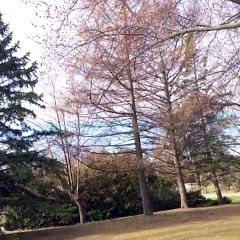 Enregistrement mobile du 26 avr. 2015