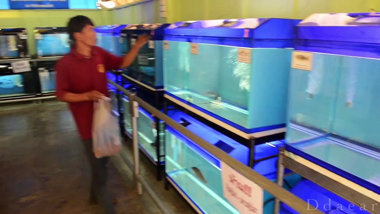 Phitsanulok