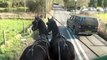 Driving an ill-matched pair of Friesians and why they are not suitable for commercial work.