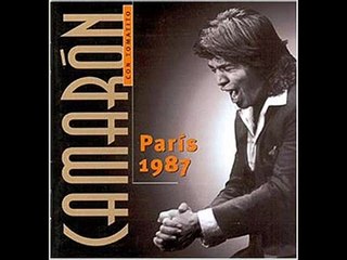 PAÃ‘UELO A RAYAS 2  CAMARON DE LA ISLA