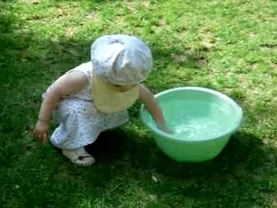 Louloute joue avec la bassine d'eau